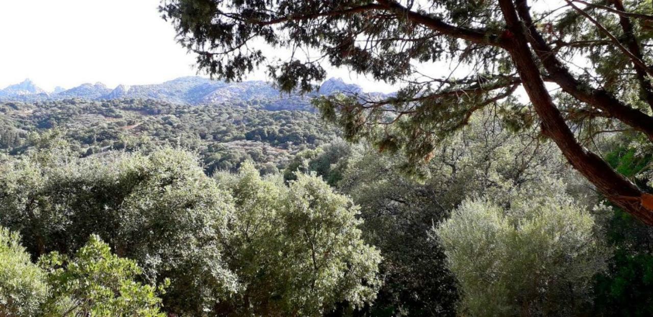 Stazzu La Capretta Farm Camping & Guest Rooms Olbia Exterior foto